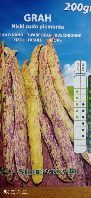 Bean seed, 200 gr.packet, Piemont variety