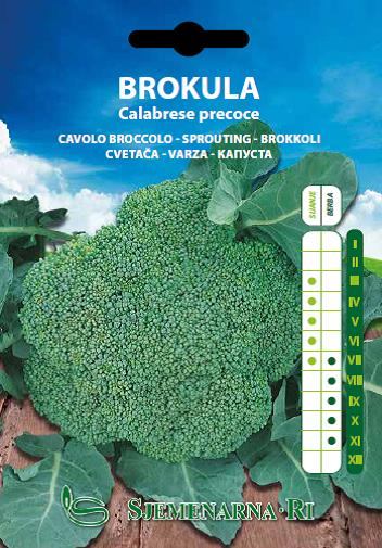 Brokula Calabrese