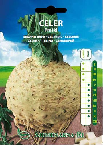 Celer Praški