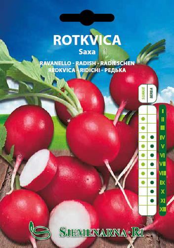Rotkvica Saxa 10gr.