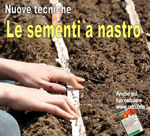 Salata na traci